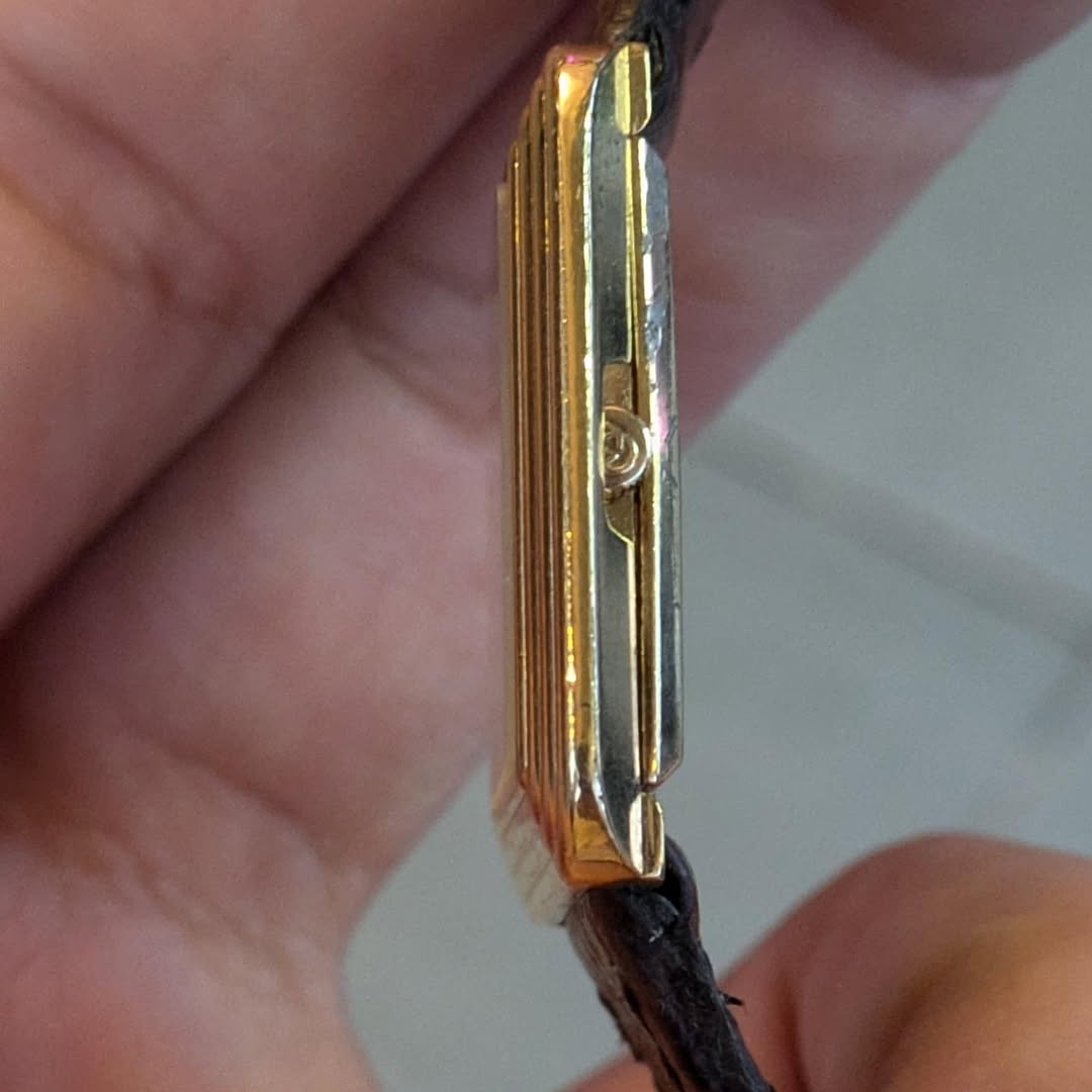 Gucci GG 5000L Sherry line step case