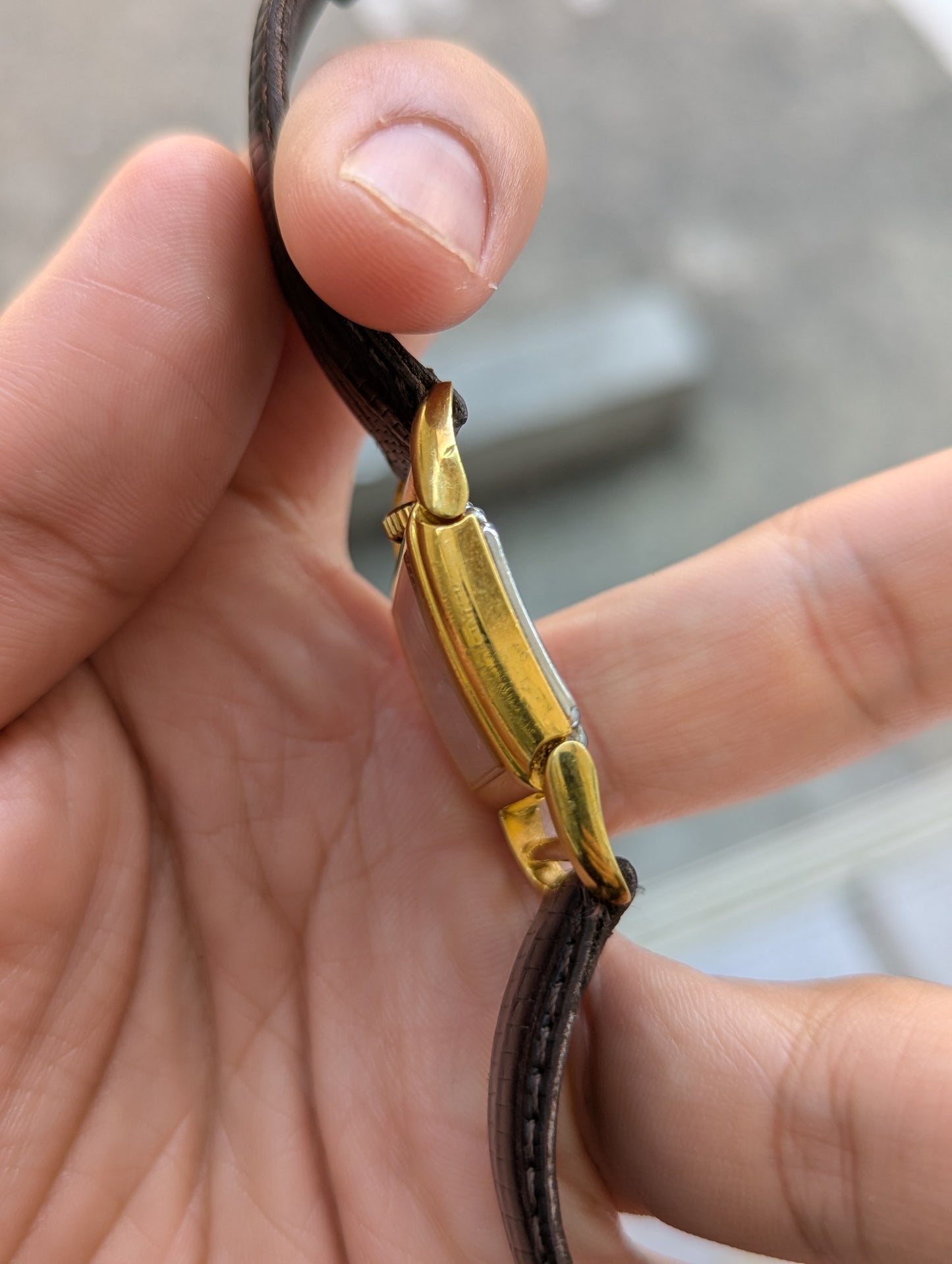 Hamilton Contour Registered Edition